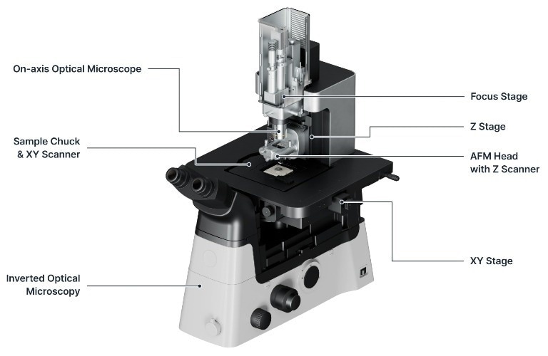 An annotated diagram of the NX12 indicating each aspect of the design (XY stage, Sample chuck, Z stage, XY scanner, Inverted Optical Microscopy, AFM Head with Z scanner), Focus Stage, On-axis Optical Microscope).