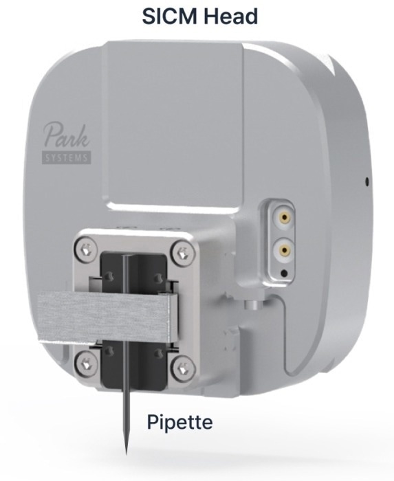 Image of the SICM head.