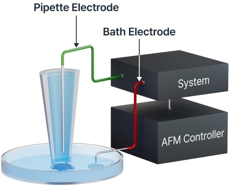 Park NX12: The Future of Analytical Chemistry