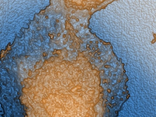 Park NX12: The Future of Analytical Chemistry