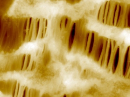 Park NX12: The Future of Analytical Chemistry