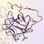 GMP-grade human FGF basic protein