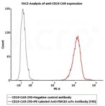 ACROBiosystem's PE-Labeled Monoclonal Anti-FMC63 Antibody, Mouse IgG1 (Y45) (Site-specific conjugation) (Preservative free)