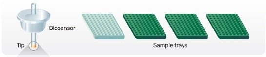 Gator® Pro: High throughput data through biolayer interferometry