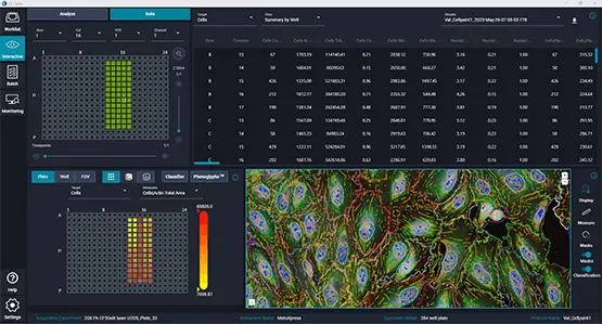 Image analysis made easy with IN Carta Software