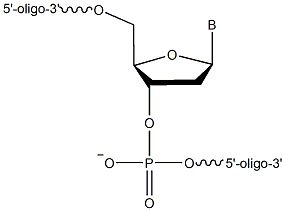 Locked Nucleic Acid (LNA) Probes for qPCR