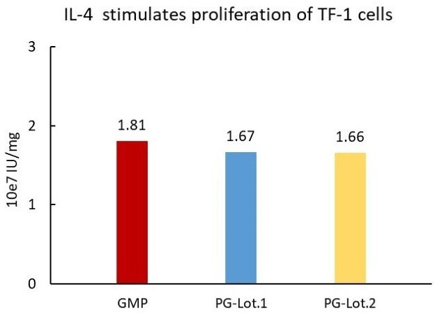 Human IL-4 protein (GMP-grade)