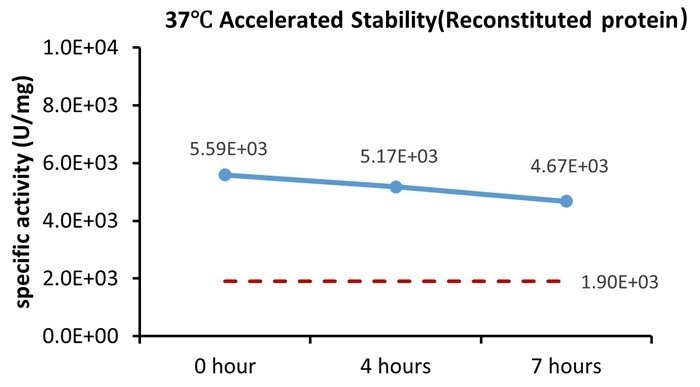 GMP-grade human BMP-4 / BMP2B protein
