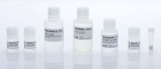 Bacterial and host DNA isolation from stool samples