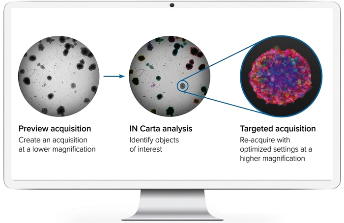 Train your system to recognize objects of interest with IN Carta deep-learning segmentation.