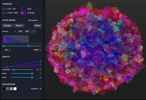 Spheroid mask in 3D viewer in IN Carta Image Analysis Software.