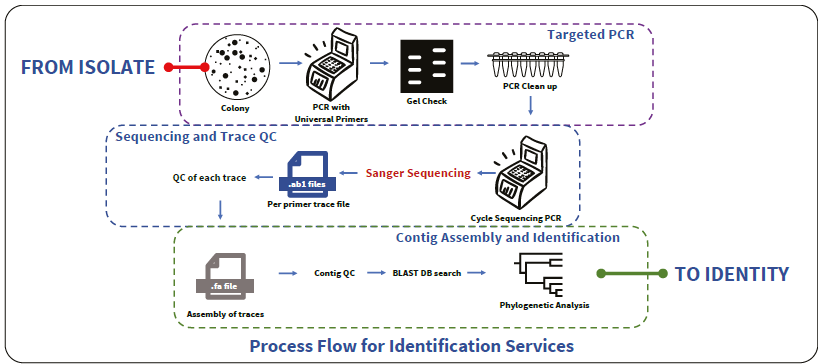 Sequencing and bioinformatics services with the Hi-Gx360