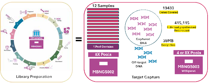 Whole Genome and Whole Exome Workflow.