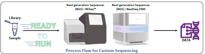 Sequencing and bioinformatics services with the Hi-Gx360