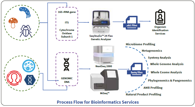 Sequencing and bioinformatics services with the Hi-Gx360