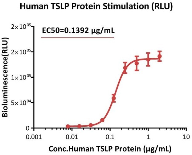 Response to human TSLP protein (RLU). The Human TSLP R (Luc) HEK293 Reporter Cell was stimulated with serial dilutions of human TSLP protein (Cat. No. TSP-H52Hb). The EC50 was approximately 0.1392 μg/mL