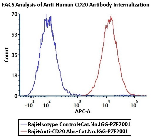 Anti-CD20 Abs and Human IgG1 isotype control were labeled with Antibody Internalization Detection Reagent (Cat. No. IGG-PZF2001). Raji cells were treated with Anti-CD20 Abs-Internalization Detection Reagent conjugate and Isotype control-Internalization Detection Reagent conjugate separately for 2 hours, then analysis by Flow cytometric. APC signal was used to evaluate the activity (QC tested)