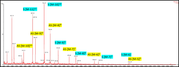 LC/MS spectra of siRNA antisense strand
