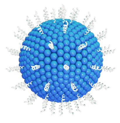 Liposome with PEGylated Lipids.