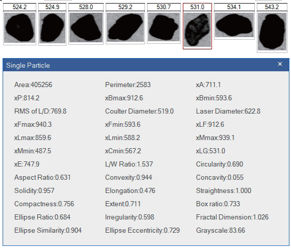 Bettersizer 2600 Plus particle size and shape analysis system