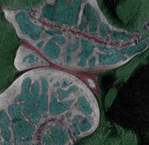 InCiTe 2.0 3D X-ray microscope for micro-CT imaging