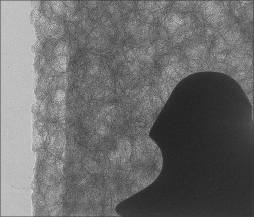 InCiTe 2.0 3D X-ray microscope for micro-CT imaging