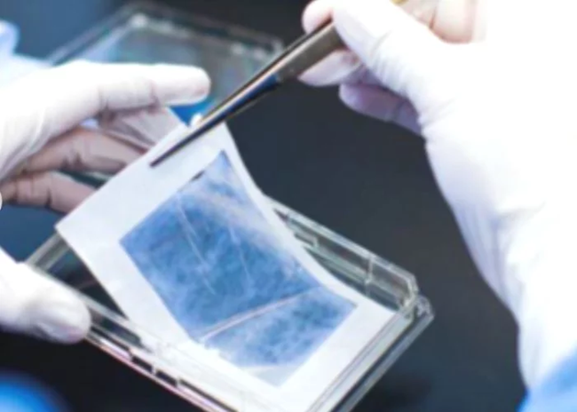 NGB-R nerve guidance system for preclinical research