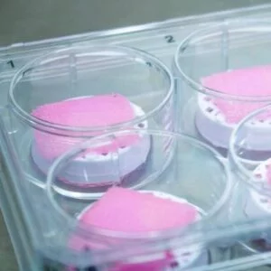 Scale-up bioprinting of 3D tissues on a multi well-plate.