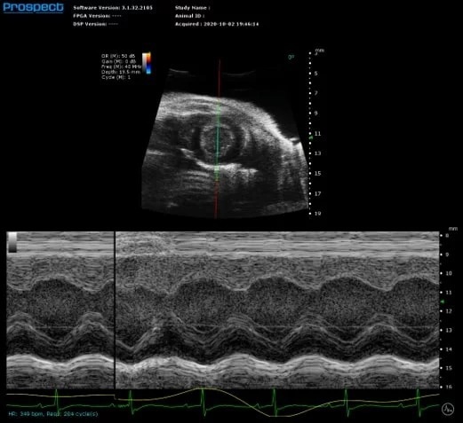 High-frequency ultrasound system for preclinical imaging