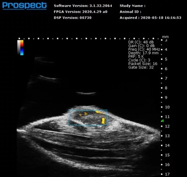 High-frequency ultrasound system for preclinical imaging