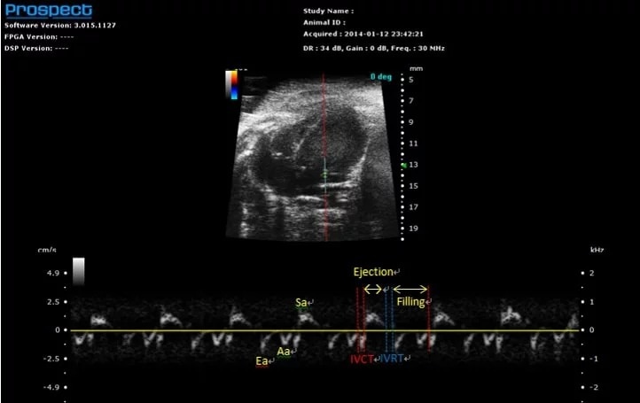 High-frequency ultrasound system for preclinical imaging