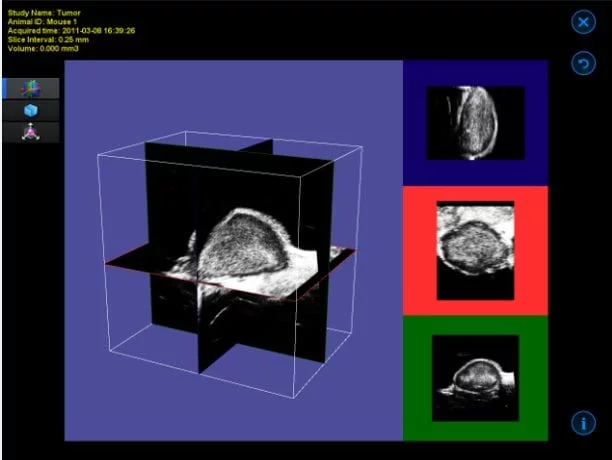 Mouse Mammary Fat Pad Tumor in 3D B-Mode, Orthotopically Injected Cells.