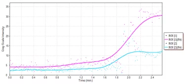 Mouse subcutaneous tumor – Non-linear contrast agent imaging Time vs. Intensity plots for drawn regions of interest.