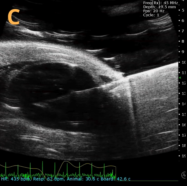 High-frequency ultrasound system for preclinical imaging