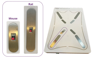 Rodent surgical monitor with oxygen saturation monitoring nodes.