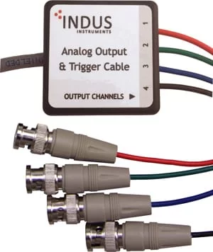 4 or 8 Channel Analog Output Cable