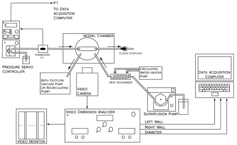 Pressure arteriography system for vascular research