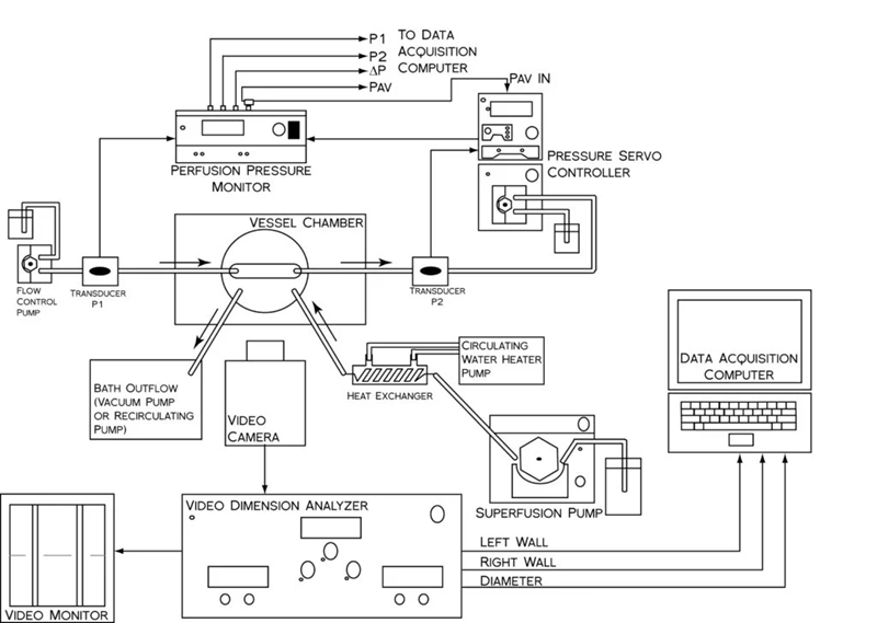 Pressure arteriography system for vascular research