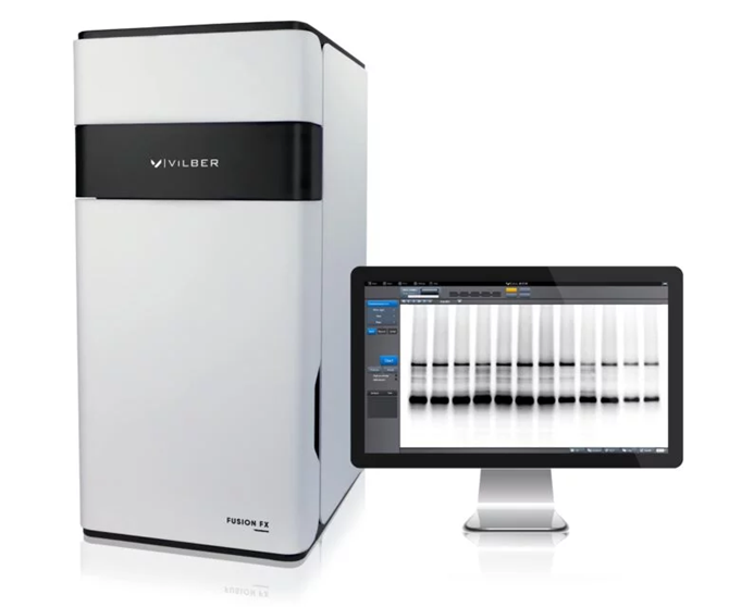 Fusion - FX7 western blot analyzer for protein detection