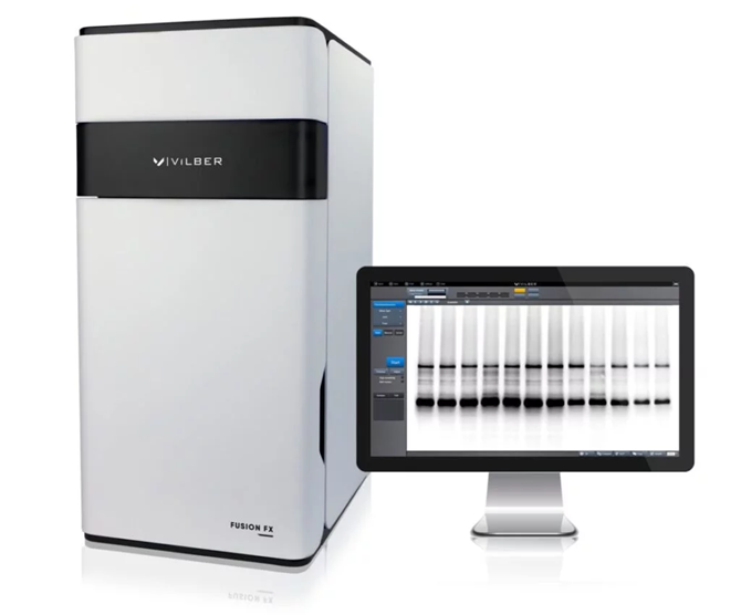 Fusion - FX6 western blot analyzer for protein detection