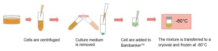 Bambanker Range: Serum-free cryopreservation media
