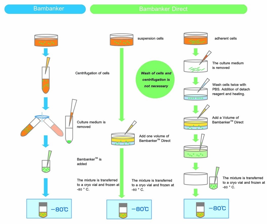 Bambanker Range: Serum-free cryopreservation media