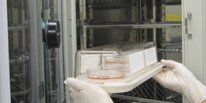FastGene - Laboratory cell culture chamber