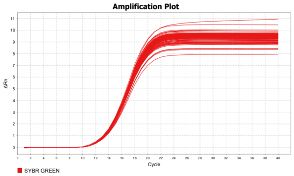 Amplification of 1 ng plasmid DNA in all 96 wells of a PCR plate. The mean Cq value at a cycle number of 13.89 +/- 0.055 was determined automatically, illustrating highly homogenous amplification results obtained by the FastGene® qFYR.