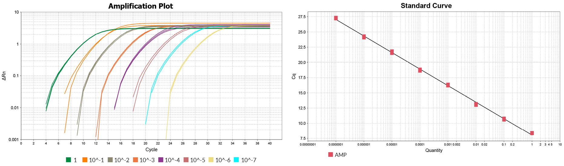 The amplification plot shows the log of change in normalized reporter fluorescence against the cycle number. The amplification took place from plasmid DNA with AMP specific primers in a 10-fold dilution series ranging from 1 ng to 1×10-6 ng plasmid DNA. The generated standard curve shows 100 % efficiency
