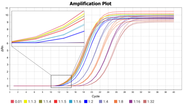 The amplification of plasmid DNA was carried out using AMP-specific primers with a 2-fold dilution series starting at 0.1 ng with additional dilutions of 1:1.3, 1:1.4, 1:1.5 and 1:1.6. Concentration differences can be detected up to 1:1.3-fold dilution