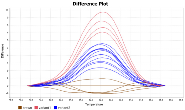The difference plot of the high-resolution melting curve allows the discrimination between SNPs extracted from blood samples for brown eyes and two variants of blue eyes
