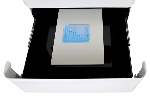 FastGene® FAS-X with open drawer. Coomassie stained PAGE protein gel is placed on the white plate