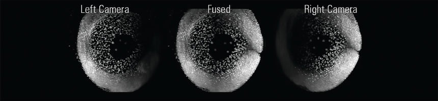 Zebrafish expressing H2A::GFP acquired simultaneously from two opposing directions (left, right). Data fusion of the two views yields a high-quality in toto image of the sample (middle).