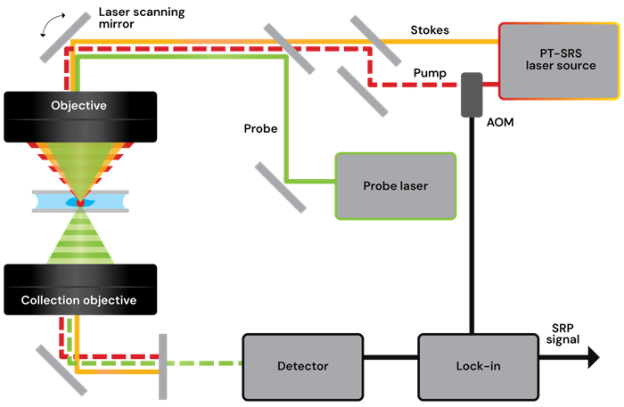 PT-SRS workflow